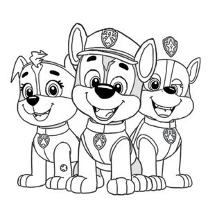 PAW Patrol Adventures