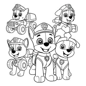 PAW Patrol - Bowl of Colors