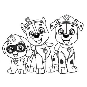 Paw Patrol Coloring Book