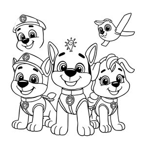 PAW Patrol Coloring Book