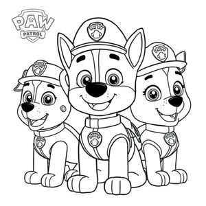 Rescue with PAW Patrol