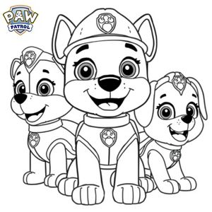 Psi Patrol: Przygody na Kolorowo