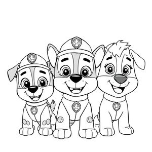 PAW Patrol Coloring Book
