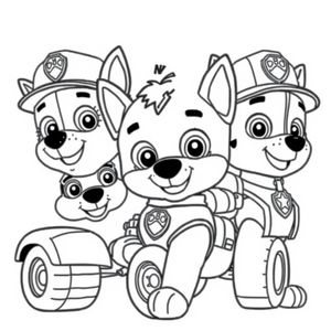 PAW Patrol Coloring Book