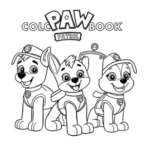 PAW Patrol - Adventure World