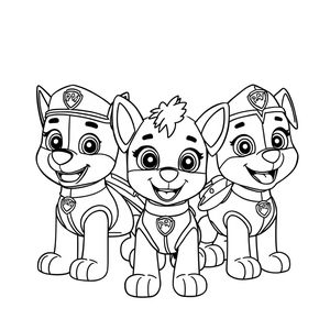 PAW Patrol Coloring Book