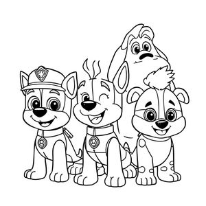 PAW Patrol Coloring Book